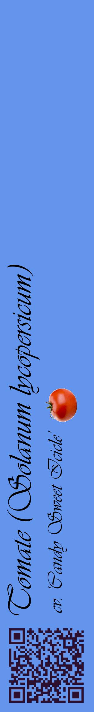 Étiquette de : Solanum lycopersicum cv. 'Candy Sweet Icicle' - format c - style noire4_basiqueviv avec qrcode et comestibilité simplifiée