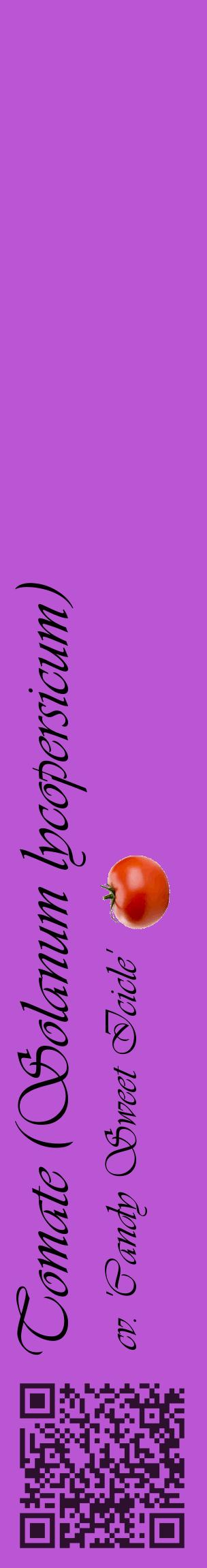 Étiquette de : Solanum lycopersicum cv. 'Candy Sweet Icicle' - format c - style noire50_basiqueviv avec qrcode et comestibilité simplifiée