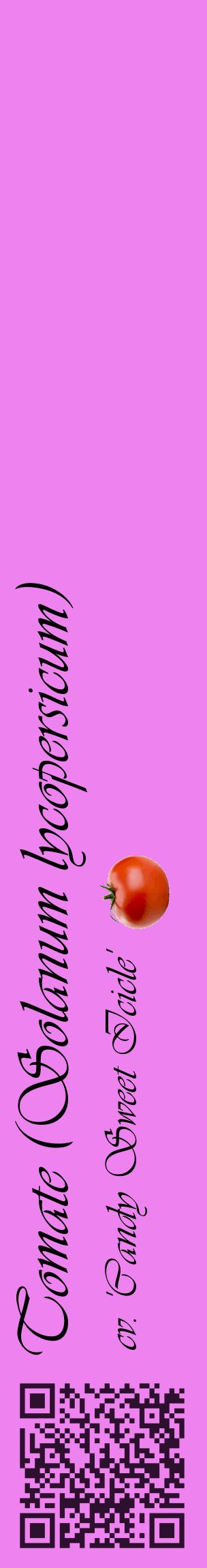 Étiquette de : Solanum lycopersicum cv. 'Candy Sweet Icicle' - format c - style noire53_basiqueviv avec qrcode et comestibilité simplifiée