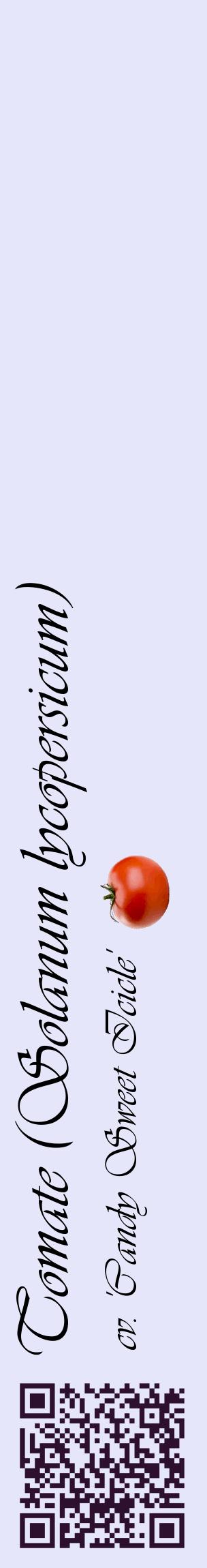 Étiquette de : Solanum lycopersicum cv. 'Candy Sweet Icicle' - format c - style noire55_basiqueviv avec qrcode et comestibilité simplifiée