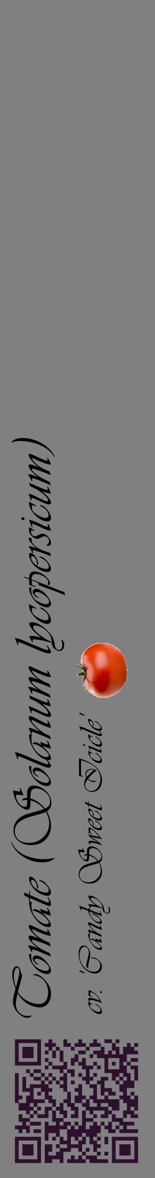 Étiquette de : Solanum lycopersicum cv. 'Candy Sweet Icicle' - format c - style noire57_basiqueviv avec qrcode et comestibilité simplifiée