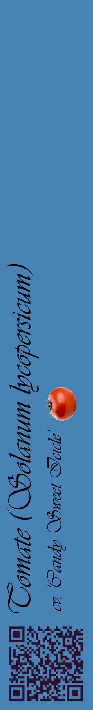 Étiquette de : Solanum lycopersicum cv. 'Candy Sweet Icicle' - format c - style noire5_basiqueviv avec qrcode et comestibilité simplifiée