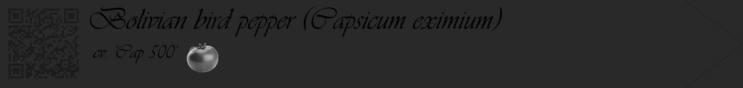 Étiquette de : Capsicum eximium cv. 'Cap 500' - format c - style noire34simple_basique_basiqueviv avec qrcode et comestibilité simplifiée