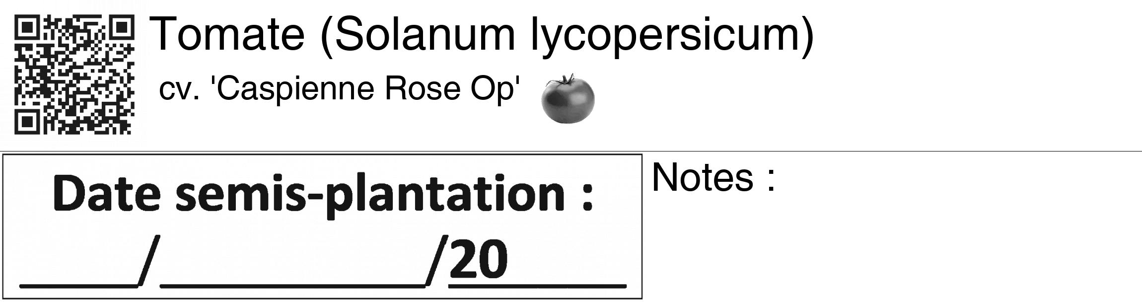 Étiquette de : Solanum lycopersicum cv. 'Caspienne Rose Op' - format c - style noire60_basiquegrrvhel avec qrcode et comestibilité simplifiée