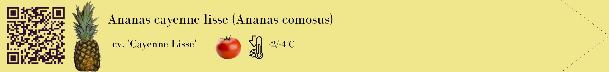 Étiquette de : Ananas comosus cv. 'Cayenne Lisse' - format c - style noire20_simple_simplebod avec qrcode et comestibilité simplifiée