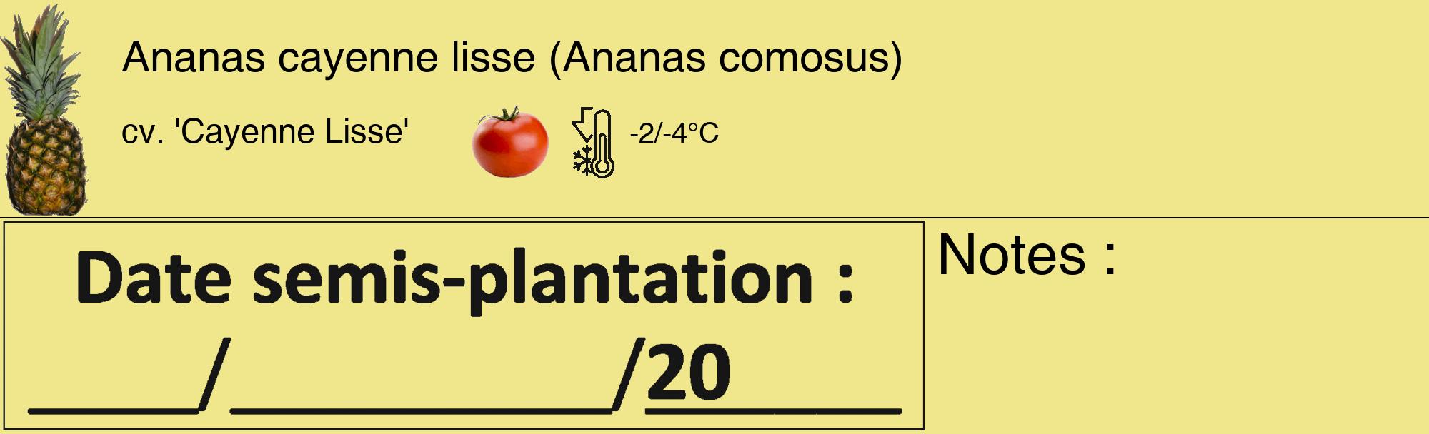 Étiquette de : Ananas comosus cv. 'Cayenne Lisse' - format c - style noire20_basique_basiquehel avec comestibilité simplifiée