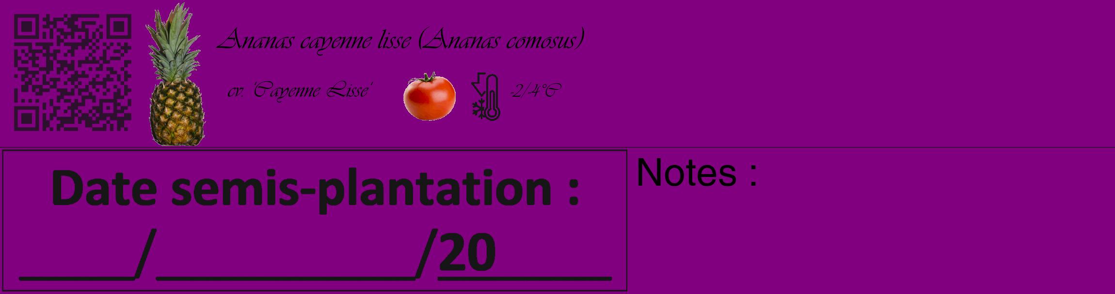 Étiquette de : Ananas comosus cv. 'Cayenne Lisse' - format c - style noire46_basique_basiqueviv avec qrcode et comestibilité simplifiée
