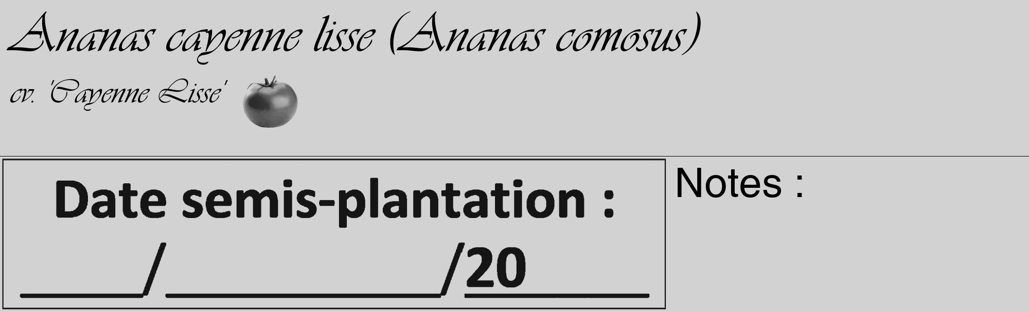 Étiquette de : Ananas comosus cv. 'Cayenne Lisse' - format c - style noire14_basique_basiqueviv avec comestibilité simplifiée