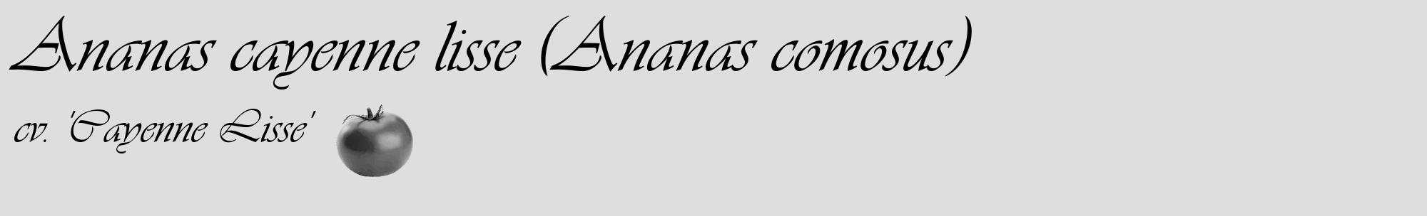 Étiquette de : Ananas comosus cv. 'Cayenne Lisse' - format c - style noire20_basique_basiqueviv avec comestibilité simplifiée