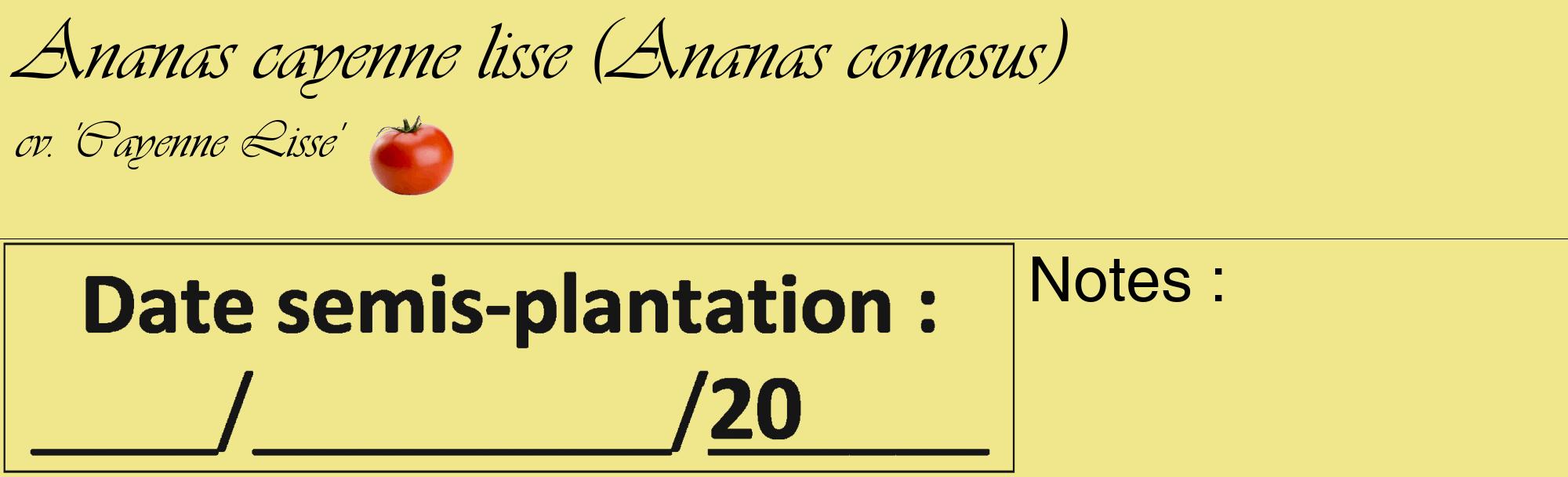 Étiquette de : Ananas comosus cv. 'Cayenne Lisse' - format c - style noire20_basique_basiqueviv avec comestibilité simplifiée
