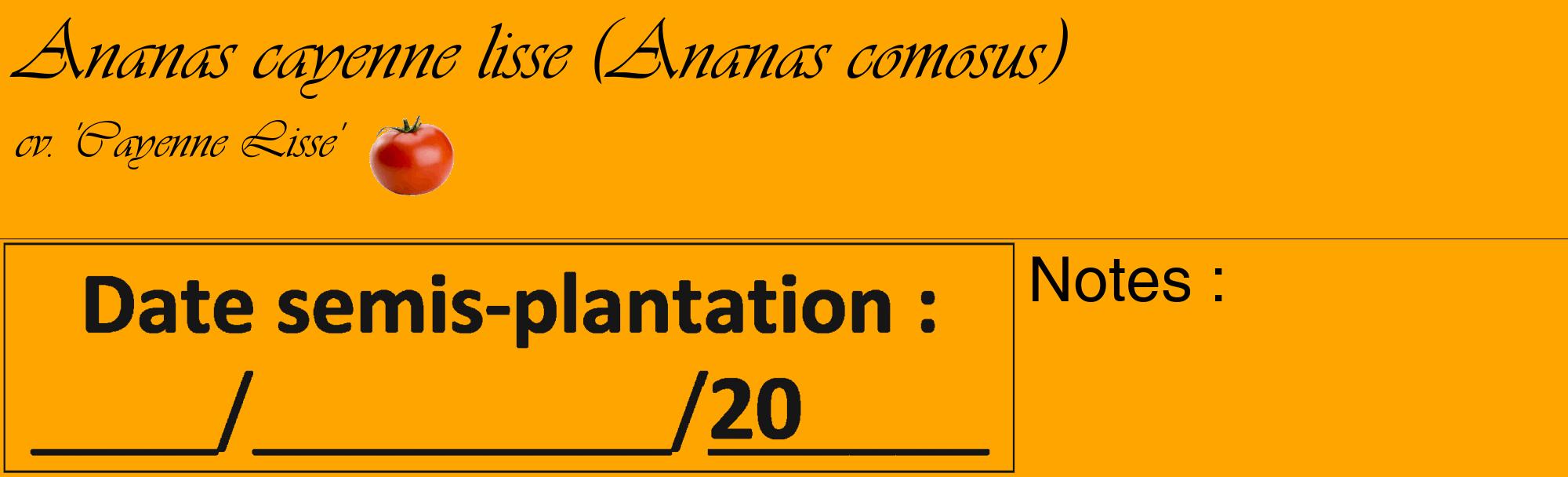 Étiquette de : Ananas comosus cv. 'Cayenne Lisse' - format c - style noire22_basique_basiqueviv avec comestibilité simplifiée