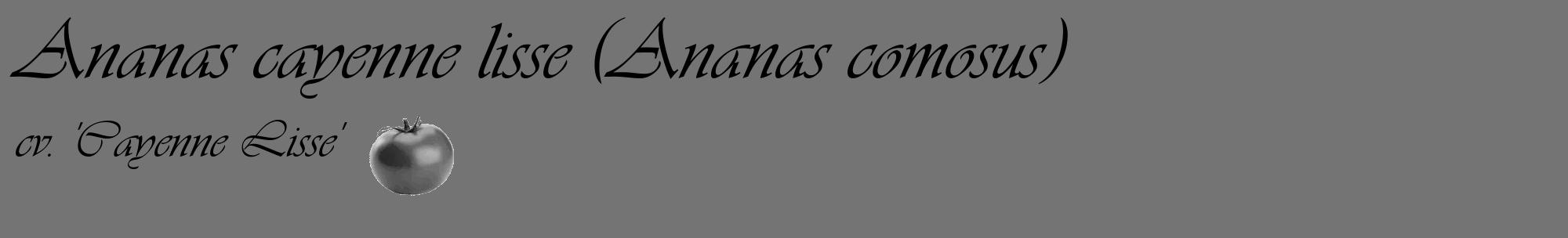 Étiquette de : Ananas comosus cv. 'Cayenne Lisse' - format c - style noire26_basique_basiqueviv avec comestibilité simplifiée