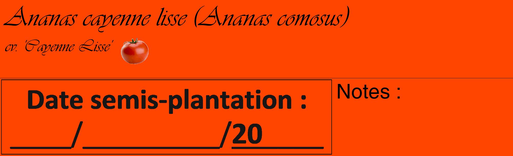 Étiquette de : Ananas comosus cv. 'Cayenne Lisse' - format c - style noire26_basique_basiqueviv avec comestibilité simplifiée