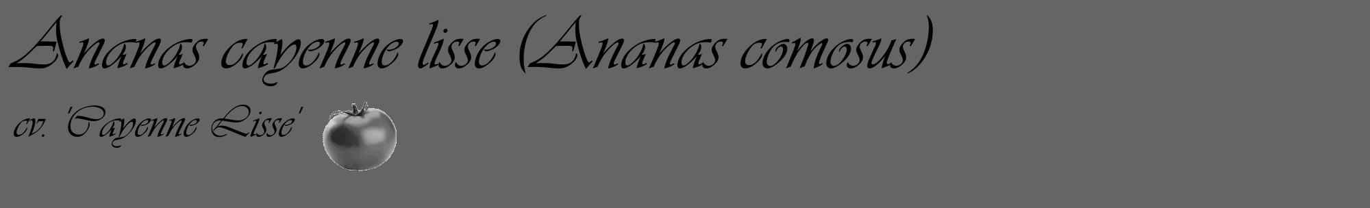 Étiquette de : Ananas comosus cv. 'Cayenne Lisse' - format c - style noire32_basique_basiqueviv avec comestibilité simplifiée