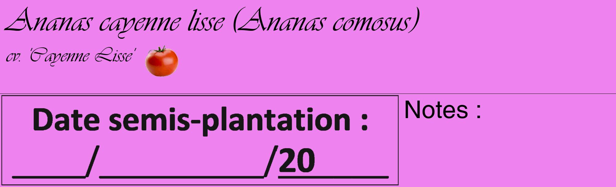 Étiquette de : Ananas comosus cv. 'Cayenne Lisse' - format c - style noire53_basique_basiqueviv avec comestibilité simplifiée
