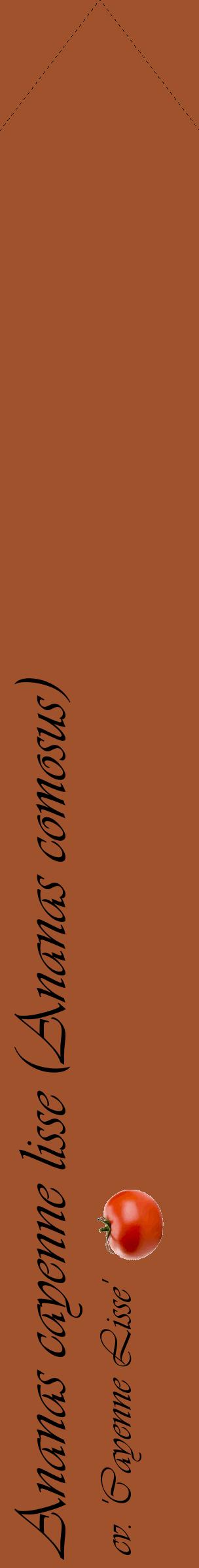 Étiquette de : Ananas comosus cv. 'Cayenne Lisse' - format c - style noire32_simpleviv avec comestibilité simplifiée