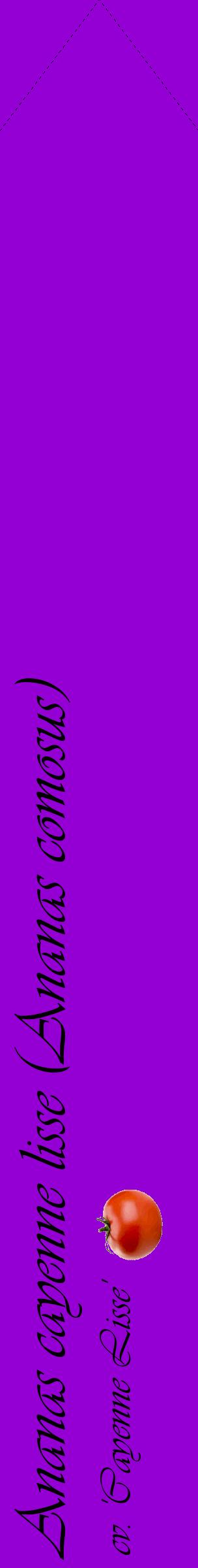 Étiquette de : Ananas comosus cv. 'Cayenne Lisse' - format c - style noire48_simpleviv avec comestibilité simplifiée