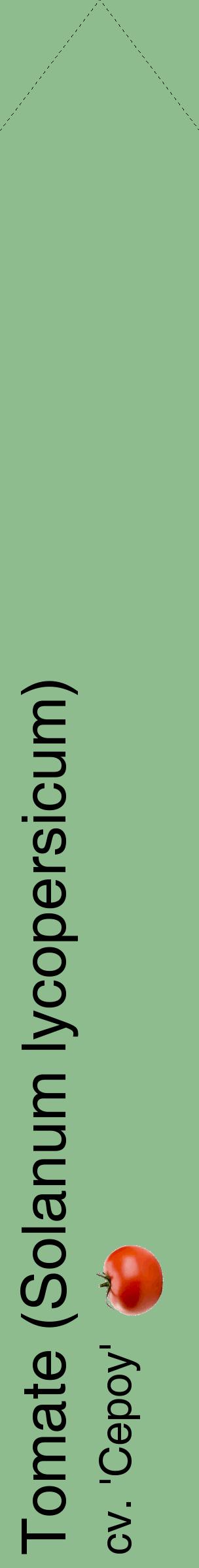 Étiquette de : Solanum lycopersicum cv. 'Cepoy' - format c - style noire13_simplehel avec comestibilité simplifiée
