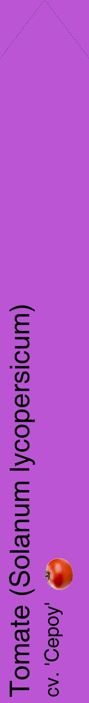 Étiquette de : Solanum lycopersicum cv. 'Cepoy' - format c - style noire50_simplehel avec comestibilité simplifiée