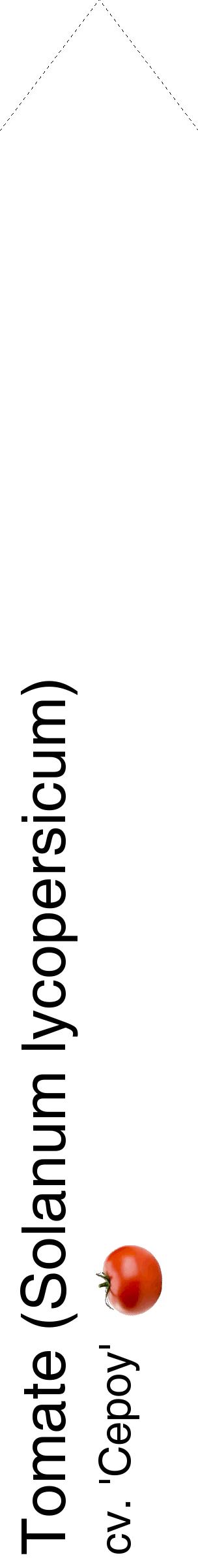 Étiquette de : Solanum lycopersicum cv. 'Cepoy' - format c - style noire60_simplehel avec comestibilité simplifiée