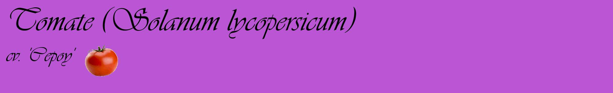 Étiquette de : Solanum lycopersicum cv. 'Cepoy' - format c - style noire50basique_basique_basiqueviv avec comestibilité simplifiée