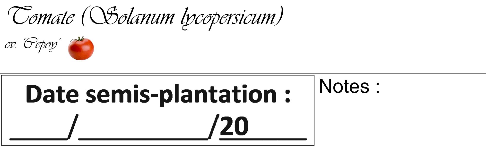 Étiquette de : Solanum lycopersicum cv. 'Cepoy' - format c - style noire60_basique_basiqueviv avec comestibilité simplifiée