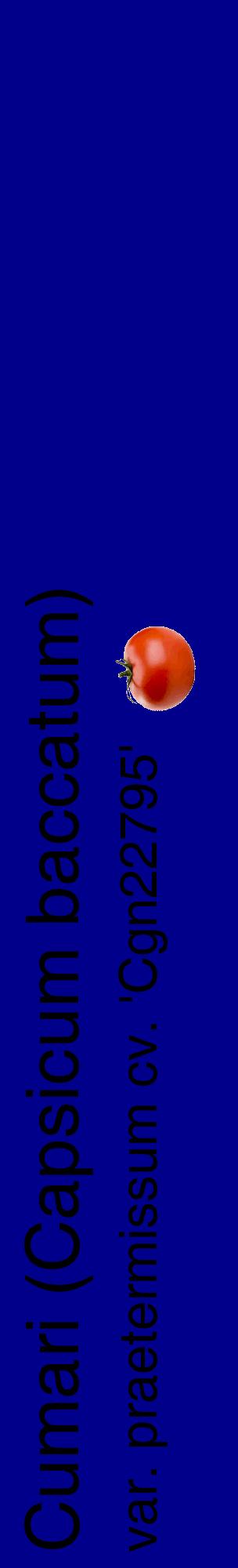 Étiquette de : Capsicum baccatum var. praetermissum cv. 'Cgn22795' - format c - style noire7_basiquehel avec comestibilité simplifiée