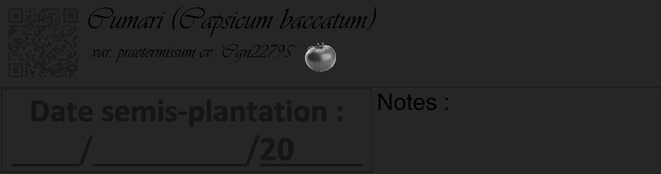 Étiquette de : Capsicum baccatum var. praetermissum cv. 'Cgn22795' - format c - style noire29basique_basique_basiqueviv avec qrcode et comestibilité simplifiée