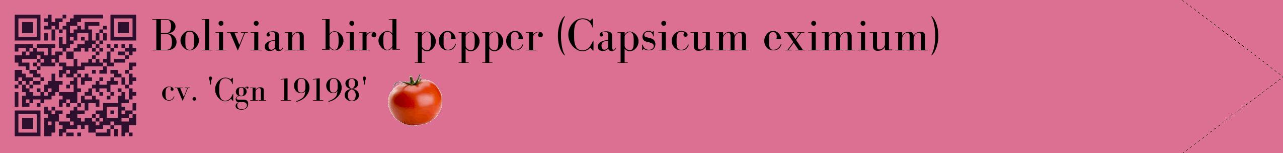 Étiquette de : Capsicum eximium cv. 'Cgn 19198' - format c - style noire44simple_simple_simplebod avec qrcode et comestibilité simplifiée