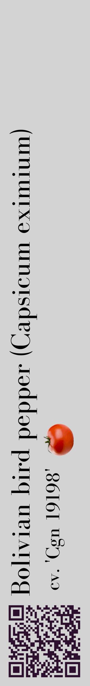 Étiquette de : Capsicum eximium cv. 'Cgn 19198' - format c - style noire56_basiquebod avec qrcode et comestibilité simplifiée