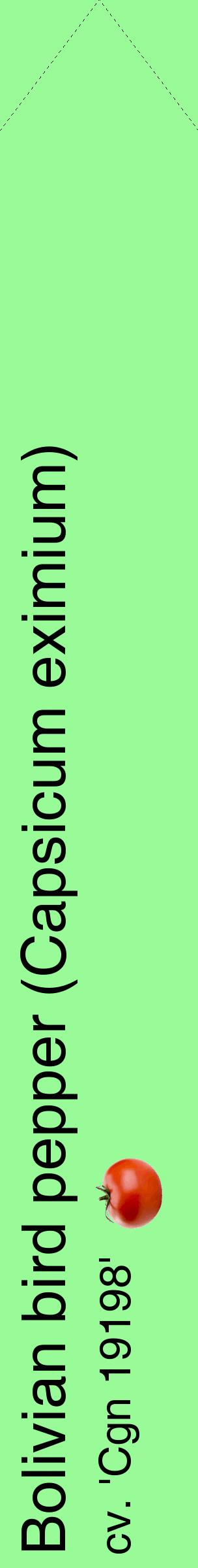Étiquette de : Capsicum eximium cv. 'Cgn 19198' - format c - style noire14_simplehel avec comestibilité simplifiée
