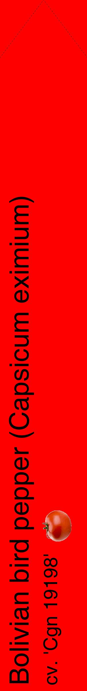 Étiquette de : Capsicum eximium cv. 'Cgn 19198' - format c - style noire27_simplehel avec comestibilité simplifiée
