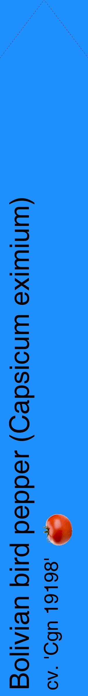 Étiquette de : Capsicum eximium cv. 'Cgn 19198' - format c - style noire3_simplehel avec comestibilité simplifiée