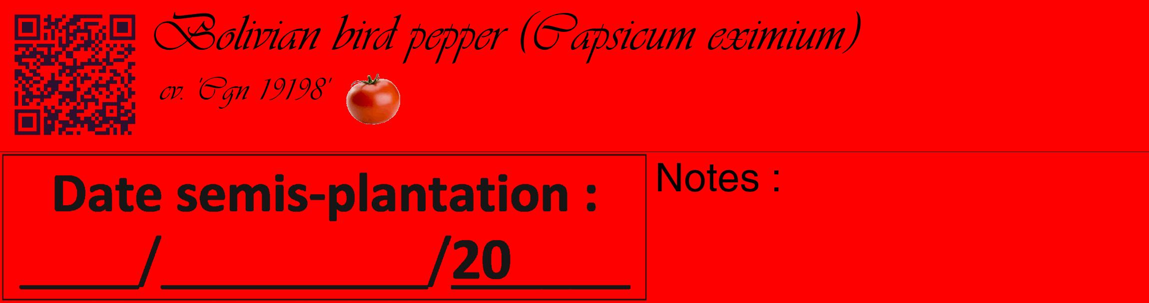 Étiquette de : Capsicum eximium cv. 'Cgn 19198' - format c - style noire27_basique_basiqueviv avec qrcode et comestibilité simplifiée