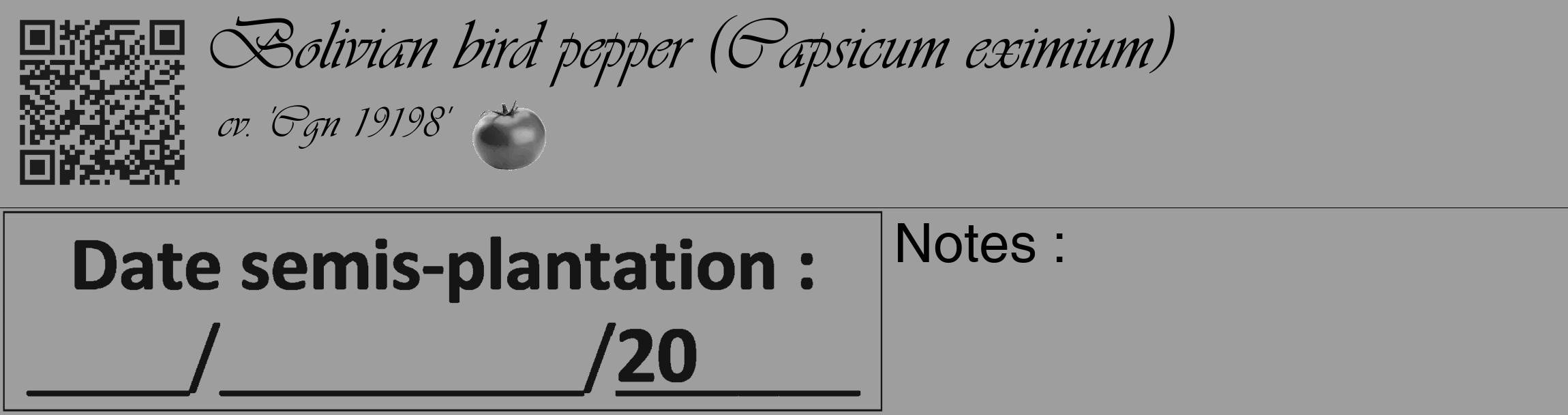 Étiquette de : Capsicum eximium cv. 'Cgn 19198' - format c - style noire42_basique_basiqueviv avec qrcode et comestibilité simplifiée