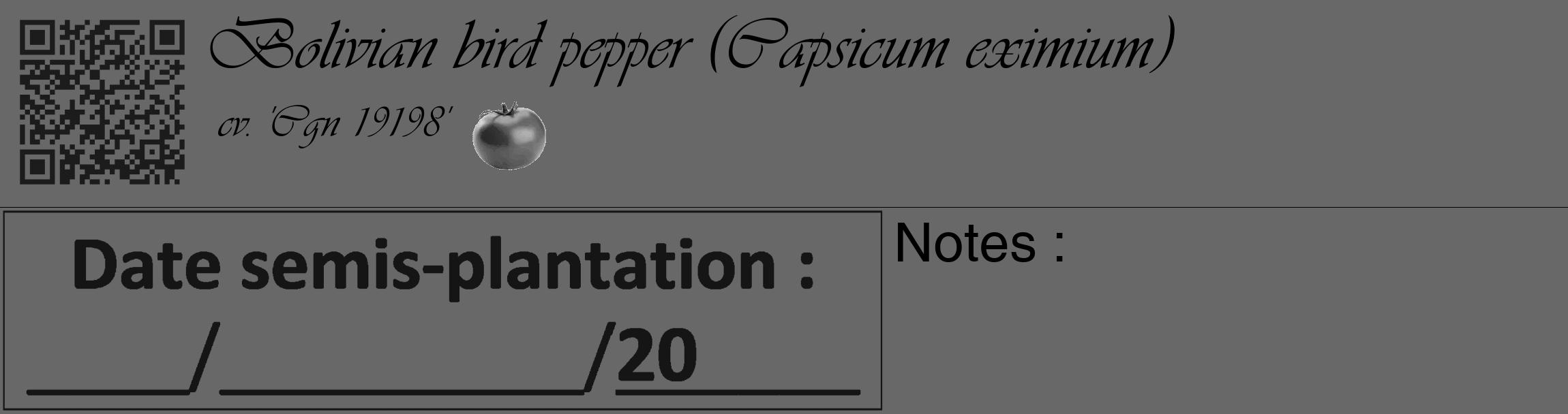 Étiquette de : Capsicum eximium cv. 'Cgn 19198' - format c - style noire43_basique_basiqueviv avec qrcode et comestibilité simplifiée