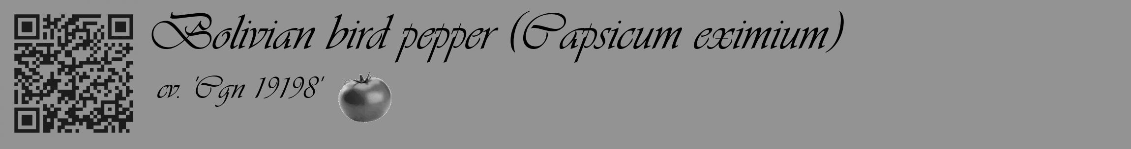 Étiquette de : Capsicum eximium cv. 'Cgn 19198' - format c - style noire44basique_basique_basiqueviv avec qrcode et comestibilité simplifiée