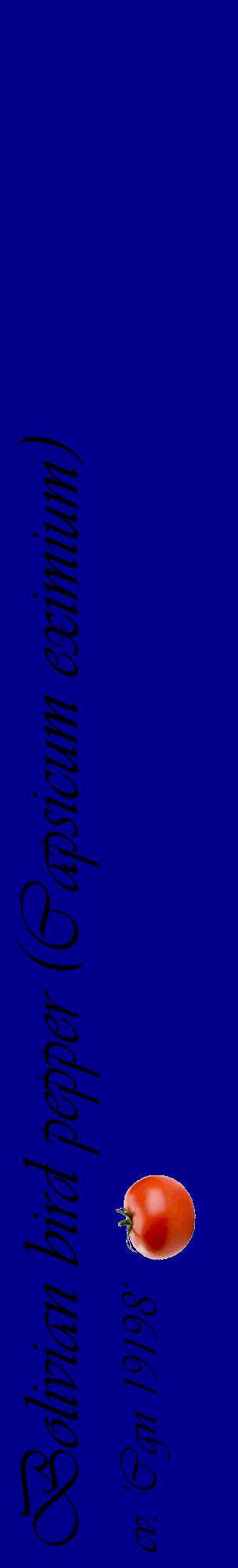Étiquette de : Capsicum eximium cv. 'Cgn 19198' - format c - style noire7_basiqueviv avec comestibilité simplifiée