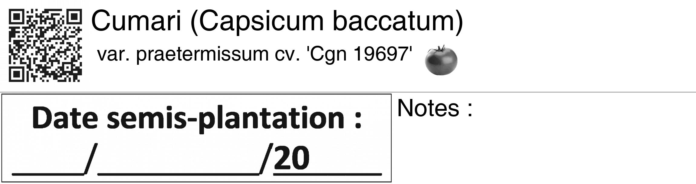 Étiquette de : Capsicum baccatum var. praetermissum cv. 'Cgn 19697' - format c - style noire60_basiquegrrvhel avec qrcode et comestibilité simplifiée
