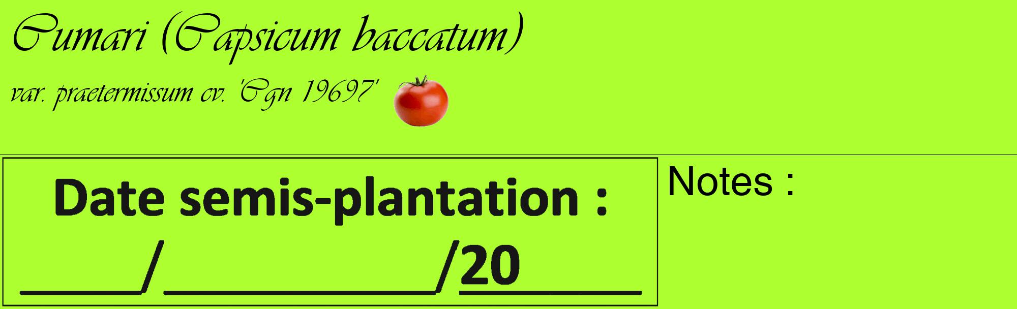 Étiquette de : Capsicum baccatum var. praetermissum cv. 'Cgn 19697' - format c - style noire17_basique_basiqueviv avec comestibilité simplifiée
