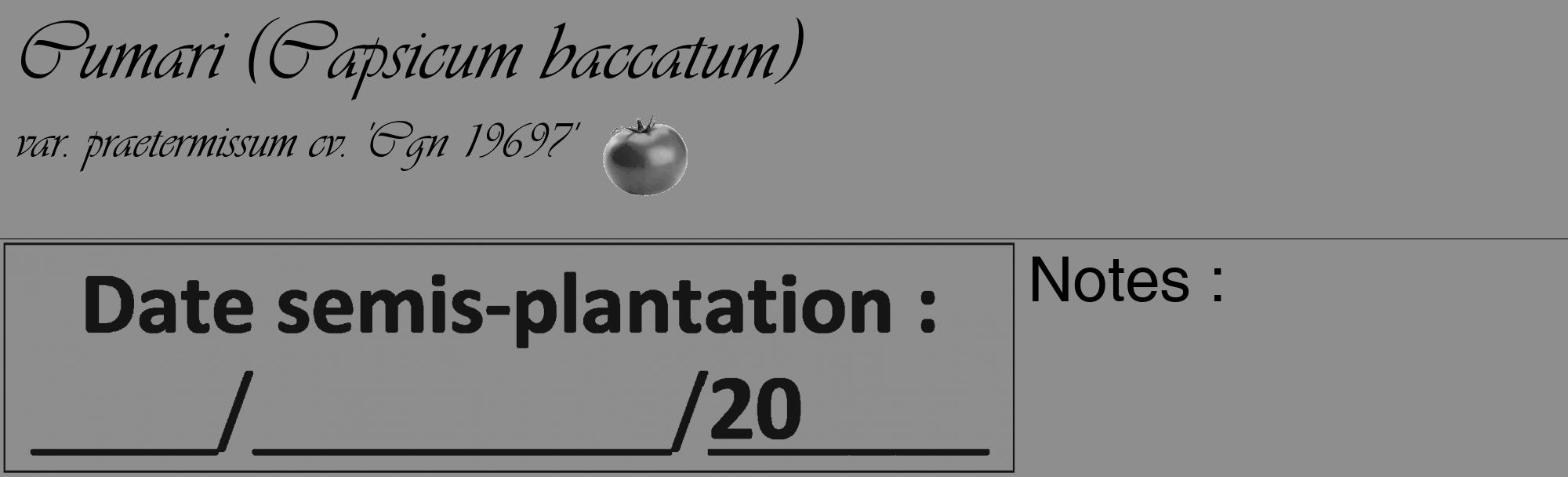 Étiquette de : Capsicum baccatum var. praetermissum cv. 'Cgn 19697' - format c - style noire25basique_basique_basiqueviv avec comestibilité simplifiée