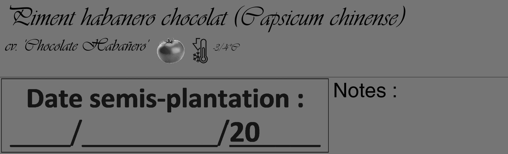 Étiquette de : Capsicum chinense cv. 'Chocolate Habañero' - format c - style noire5_basique_basiqueviv avec comestibilité simplifiée