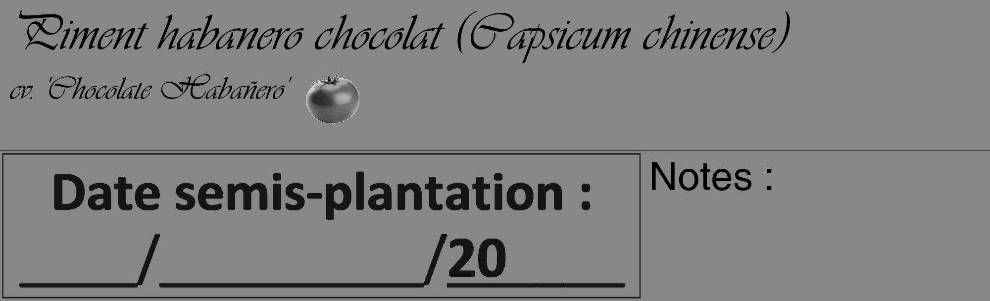 Étiquette de : Capsicum chinense cv. 'Chocolate Habañero' - format c - style noire12_basique_basiqueviv avec comestibilité simplifiée
