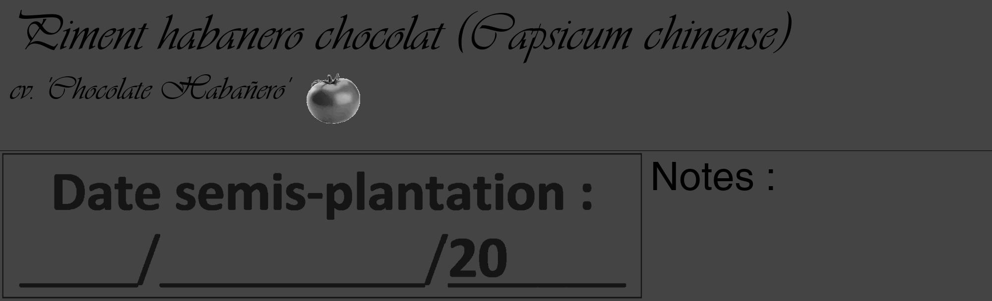 Étiquette de : Capsicum chinense cv. 'Chocolate Habañero' - format c - style noire48_basique_basiqueviv avec comestibilité simplifiée