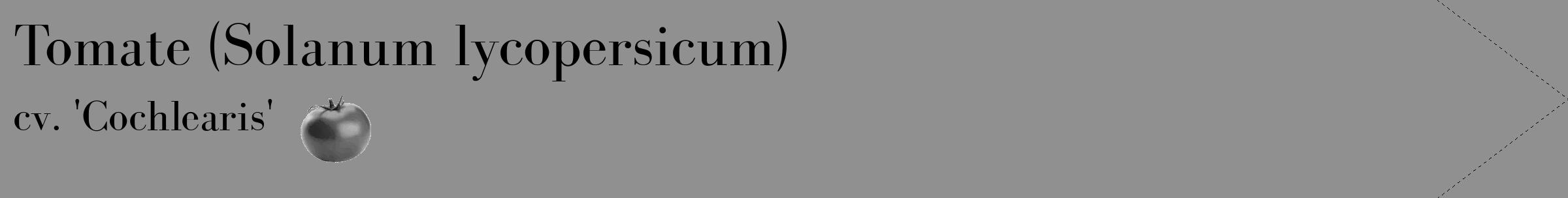 Étiquette de : Solanum lycopersicum cv. 'Cochlearis' - format c - style noire4simple_simple_simplebod avec comestibilité simplifiée
