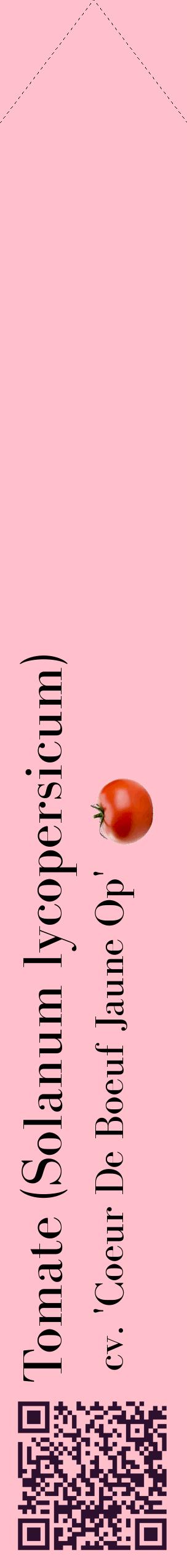 Étiquette de : Solanum lycopersicum cv. 'Coeur De Boeuf Jaune Op' - format c - style noire40_simplebod avec qrcode et comestibilité simplifiée