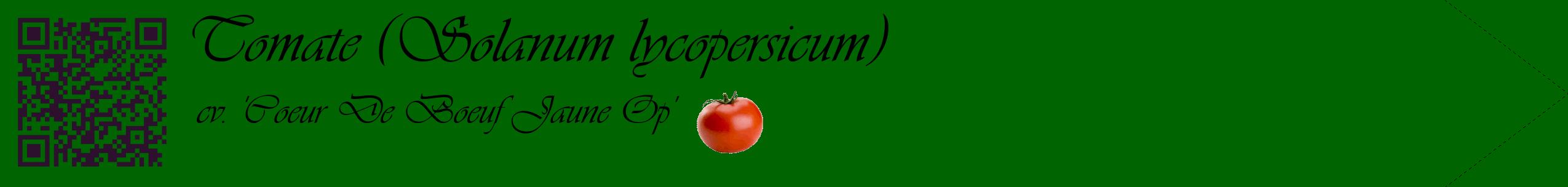 Étiquette de : Solanum lycopersicum cv. 'Coeur De Boeuf Jaune Op' - format c - style noire8simple_simple_simpleviv avec qrcode et comestibilité simplifiée