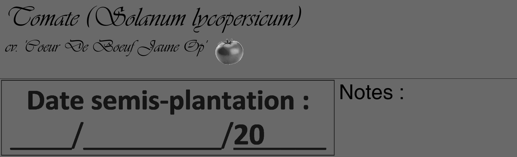 Étiquette de : Solanum lycopersicum cv. 'Coeur De Boeuf Jaune Op' - format c - style noire51_basique_basiqueviv avec comestibilité simplifiée
