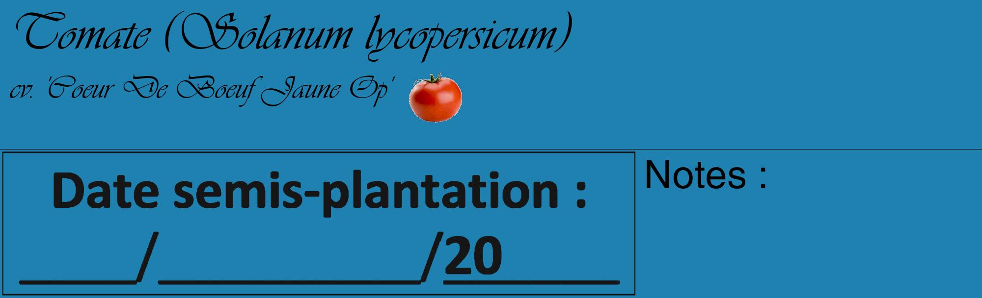 Étiquette de : Solanum lycopersicum cv. 'Coeur De Boeuf Jaune Op' - format c - style noire6_basique_basiqueviv avec comestibilité simplifiée