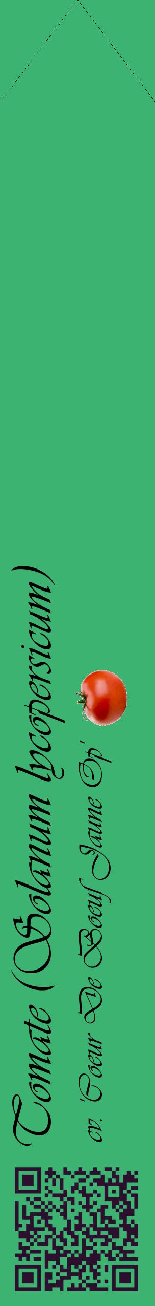 Étiquette de : Solanum lycopersicum cv. 'Coeur De Boeuf Jaune Op' - format c - style noire12_simpleviv avec qrcode et comestibilité simplifiée